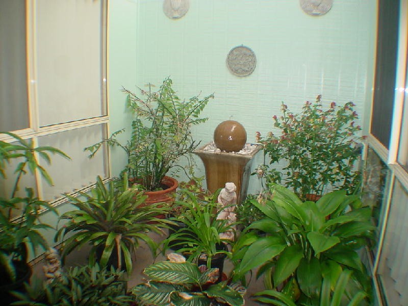 2-75 Phoenix Avenue, Bongaree QLD 4507