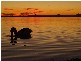 Lot 693 Sea Eagle Place, Banksia Beach QLD 4507