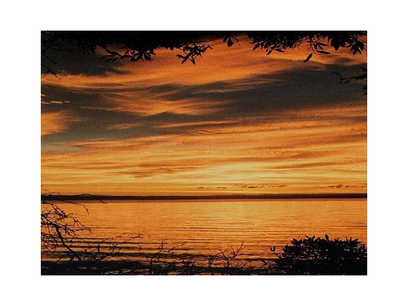 L86 Blueberry Street, Banksia Beach QLD 4507