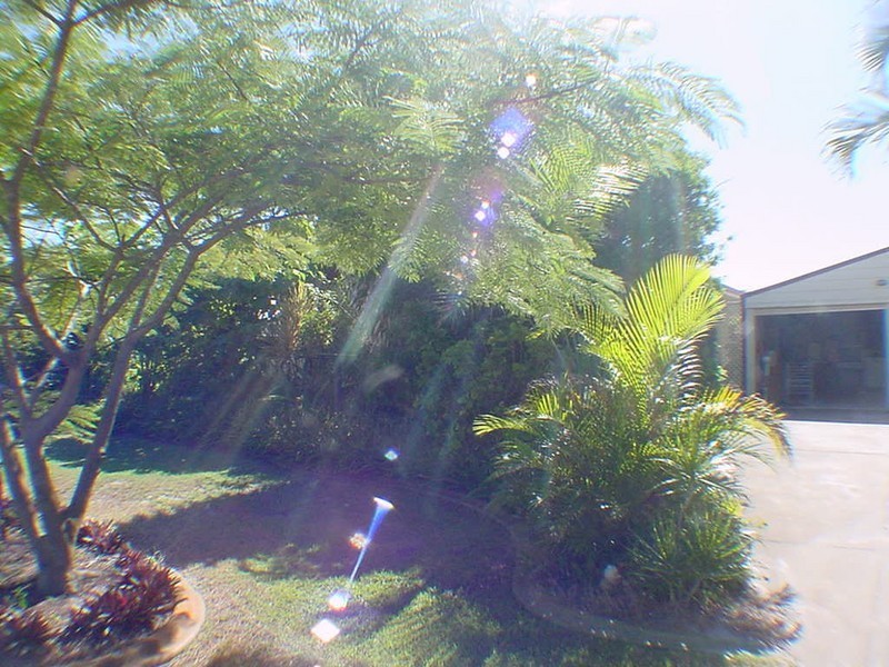 43 Spowers Street, Bongaree QLD 4507