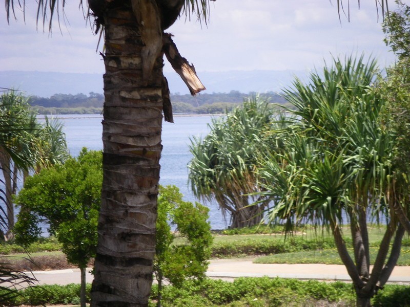 3-40 Pumicestone Street, Bellara QLD 4507