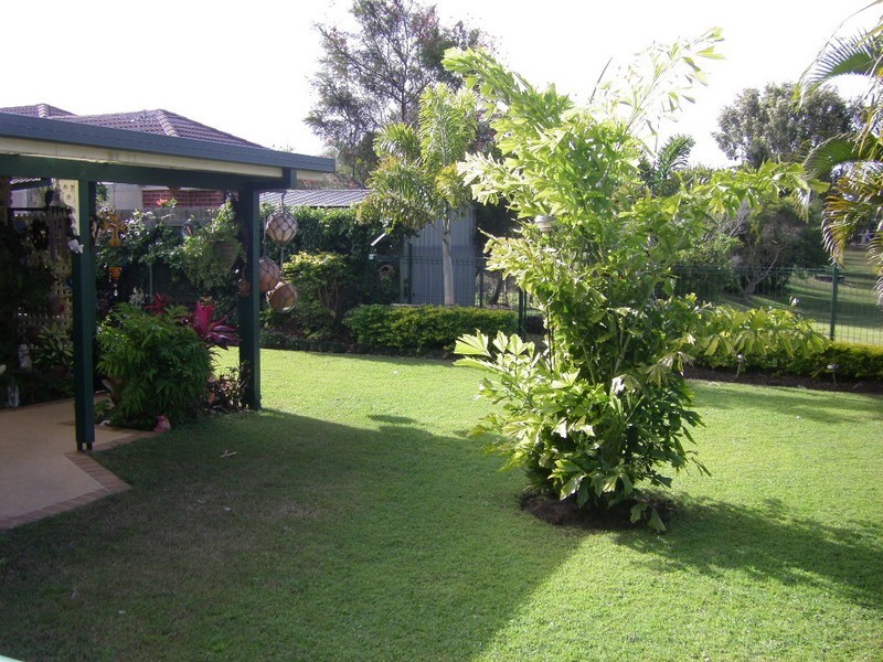 56 Bibimulya Street, Bellara QLD 4507