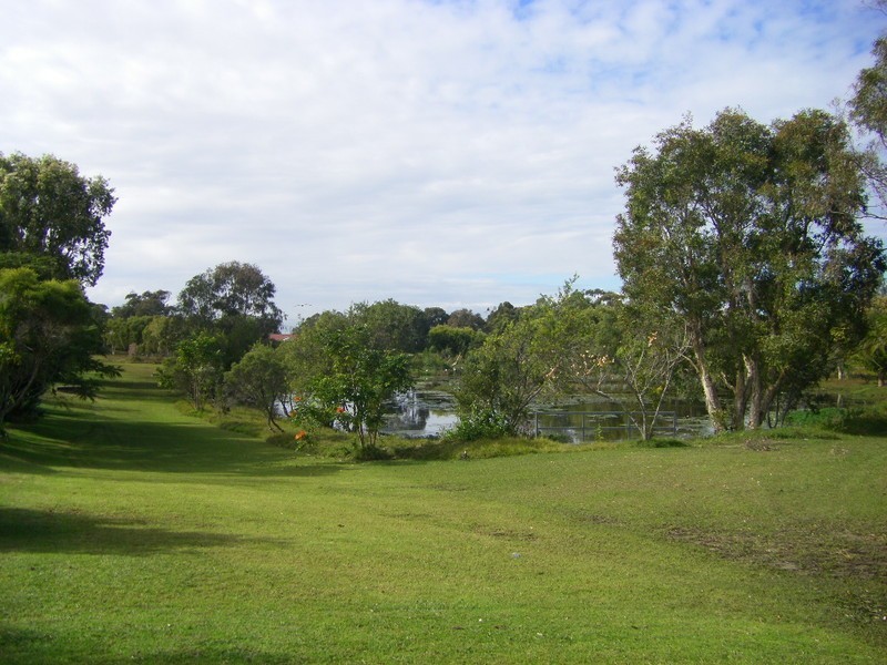 56 Bibimulya Street, Bellara QLD 4507