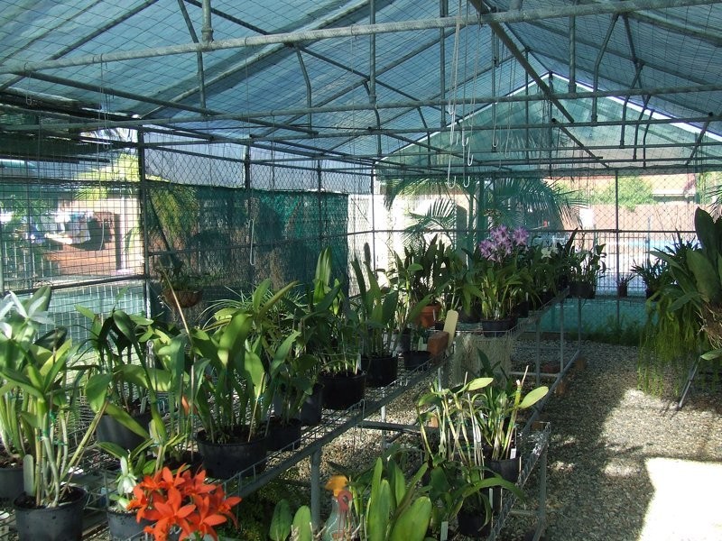 6 Magdalena Court, Banksia Beach QLD 4507