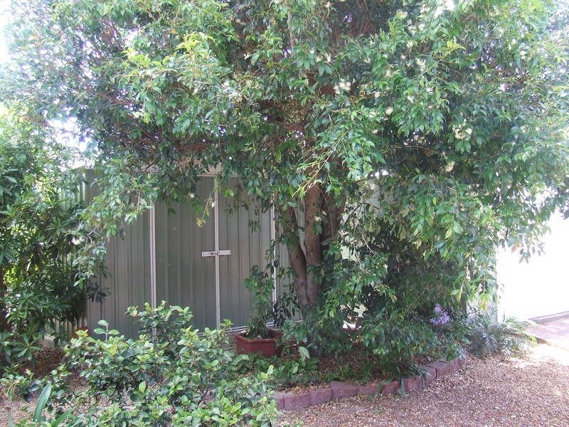 62 Headsail Drive, Banksia Beach QLD 4507