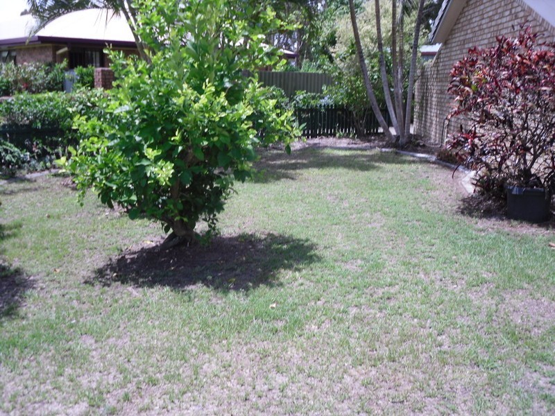 86 Phoenix Avenue, Bongaree QLD 4507