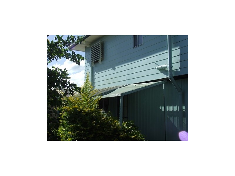 100 Elkhorn Avenue, Bellara QLD 4507