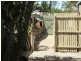 30  Mackeral Street, Sandstone Point QLD 4511