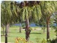 93 Raptor Parade, Banksia Beach QLD 4507