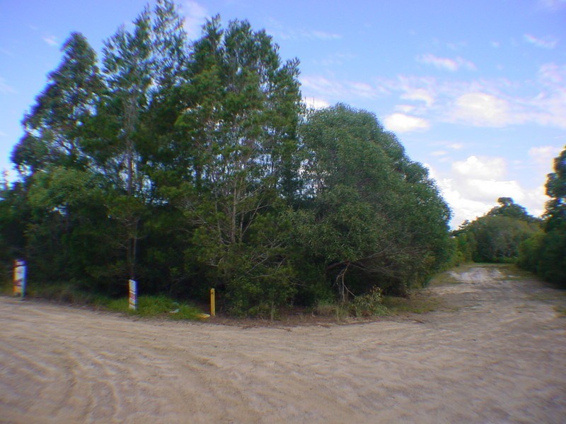 117 Horace Street, White Patch QLD 4507