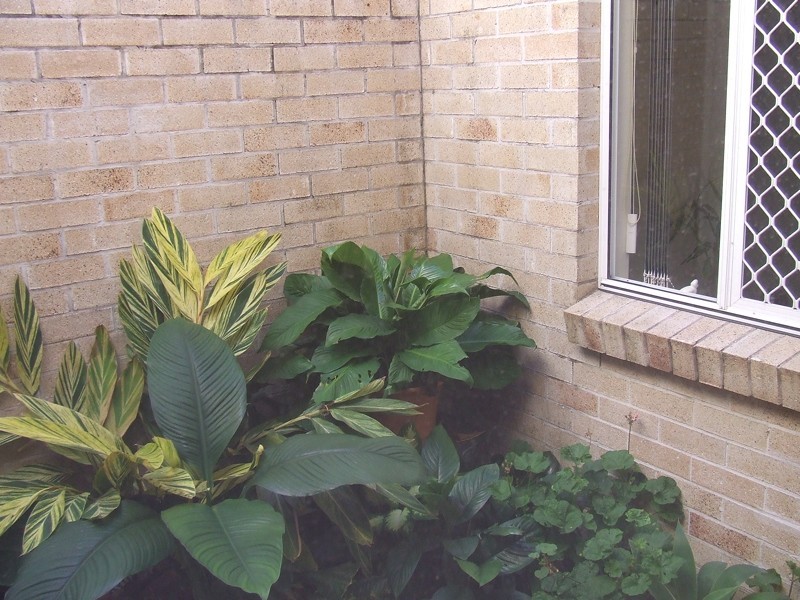 2-72 Pacific Drive, Banksia Beach QLD 4507