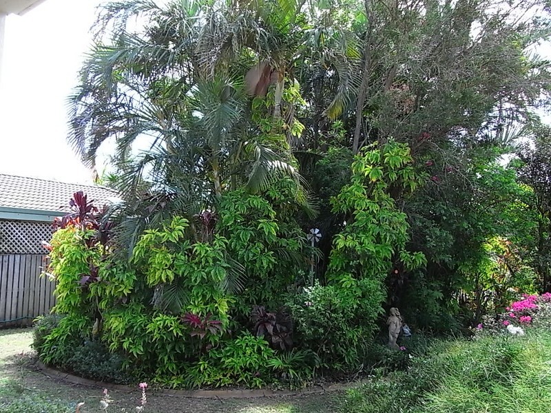 16 Hoya Crescent, Bongaree QLD 4507