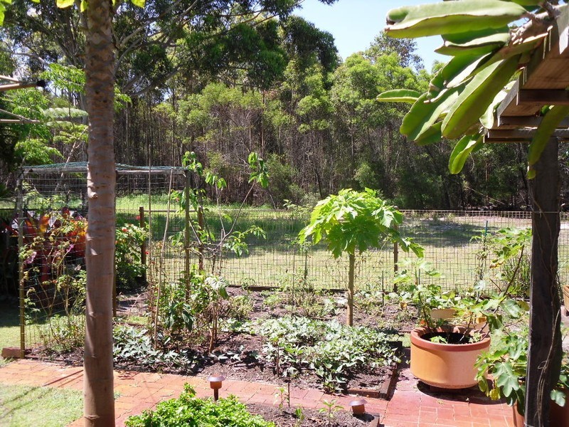 39 Ford Street, Bongaree QLD 4507