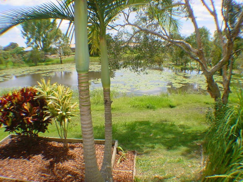 46 Bibimulya Street, Bellara QLD 4507