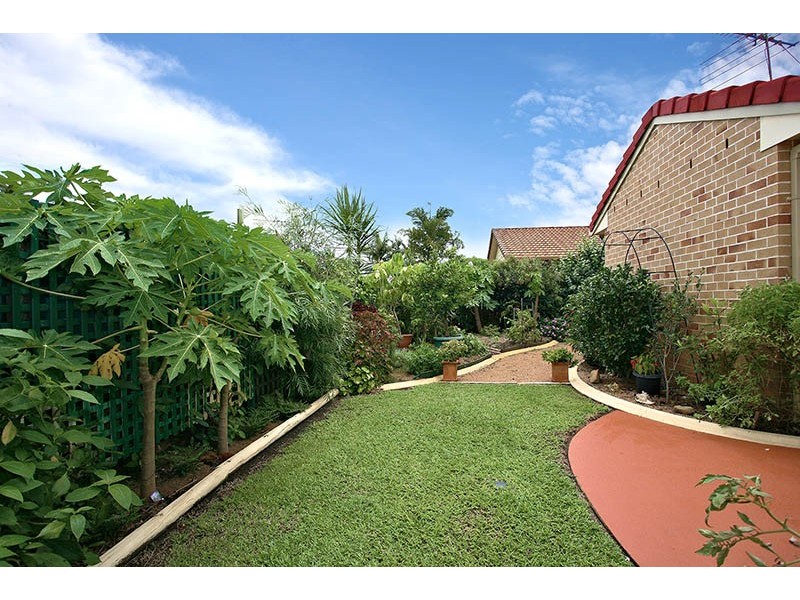 31 Hoya Crescent, Bongaree QLD 4507