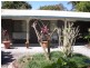 81 Verdoni Street, Bellara QLD 4507
