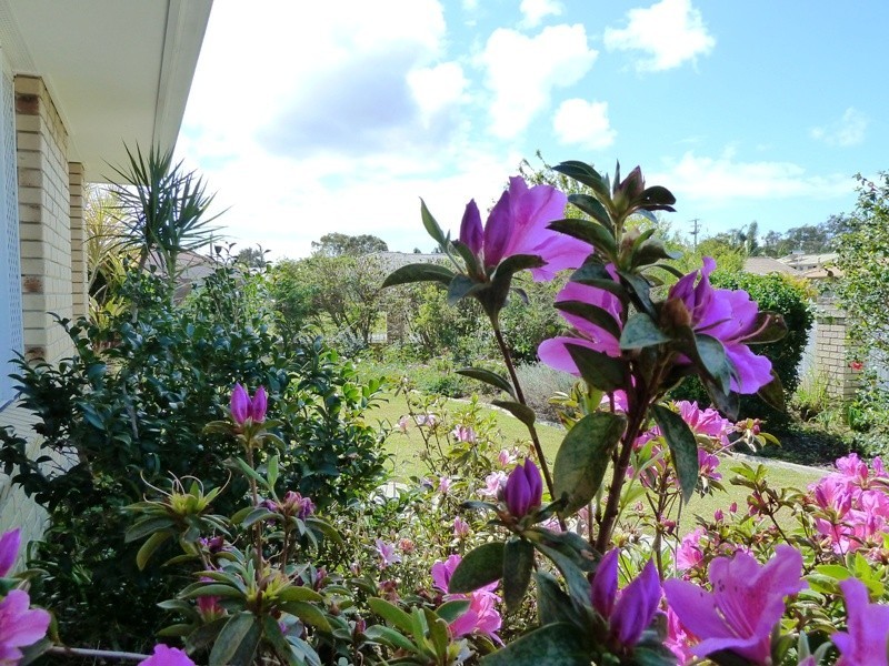 1 Melrose Avenue, Bellara QLD 4507