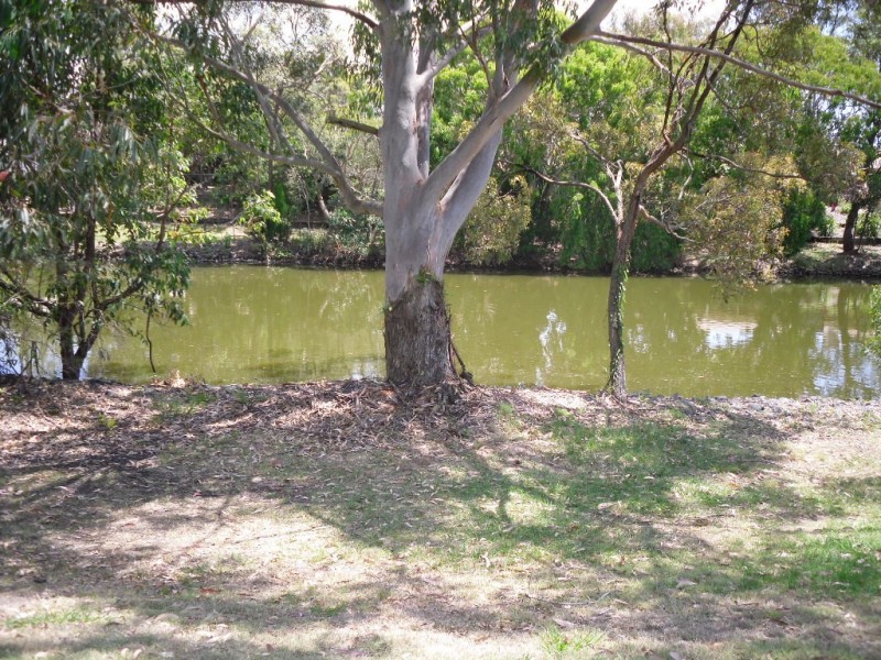 57 Melrose Avenue, Bellara QLD 4507