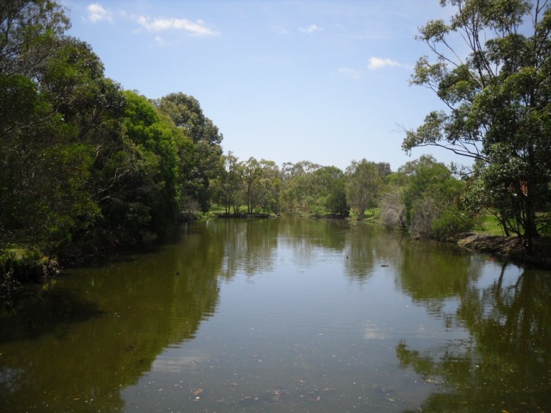 57 Melrose Avenue, Bellara QLD 4507