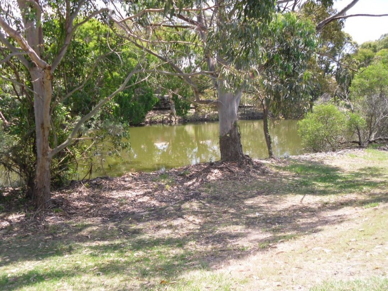 57 Melrose Avenue, Bellara QLD 4507