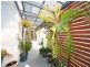 2 Windward Place, Banksia Beach QLD 4507