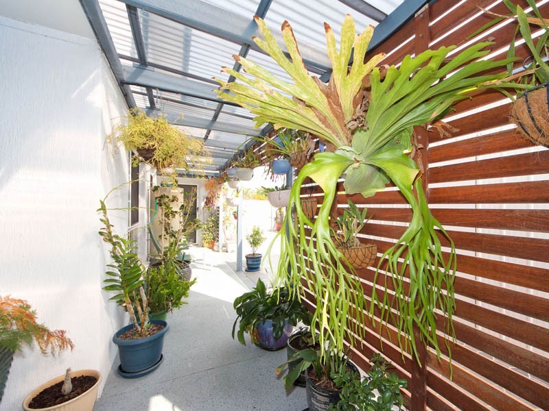 2 Windward Place, Banksia Beach QLD 4507
