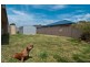 14 Tilia Court, Bongaree QLD 4507