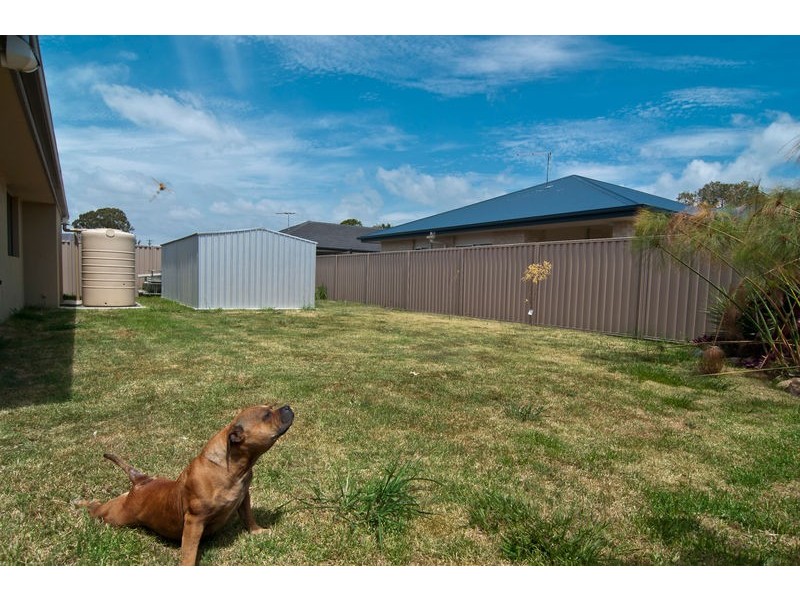 14 Tilia Court, Bongaree QLD 4507