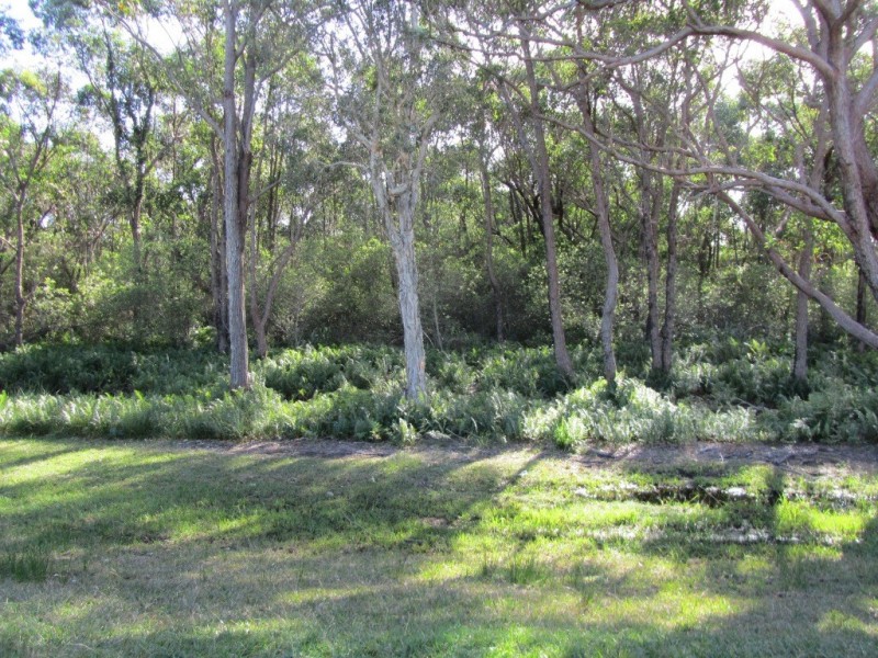 169 Endeavour Drive, Banksia Beach QLD 4507