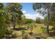 29 Melrose Avenue, Bellara QLD 4507