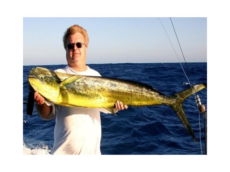 23/21-27 Sylvan Beach Esplanade, Bellara QLD 4507