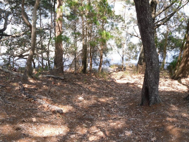 L501 White Patch Esp, White Patch QLD 4507