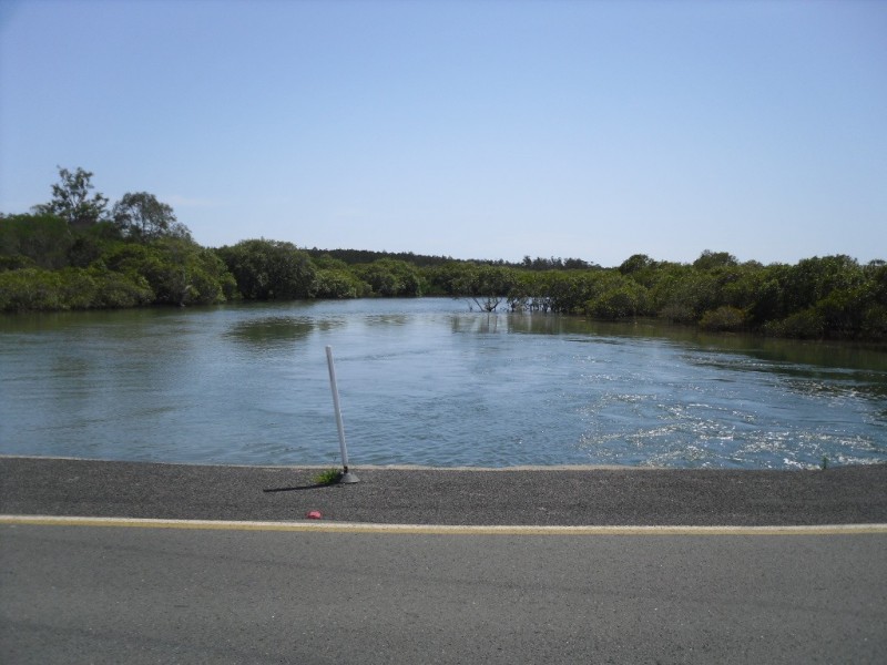 L502 Whitepatch Esp, White Patch QLD 4507