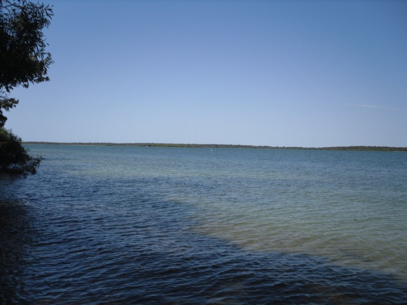L502 Whitepatch Esp, White Patch QLD 4507