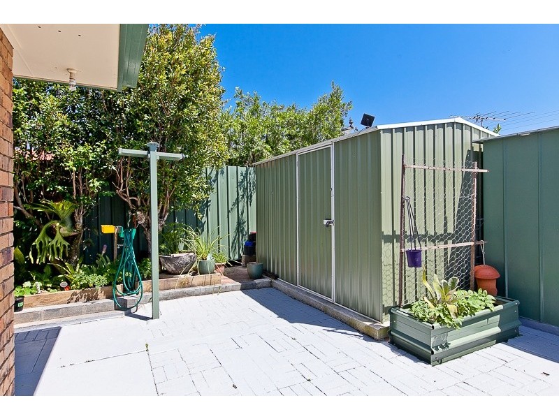 61 Bibimulya Street, Bellara QLD 4507