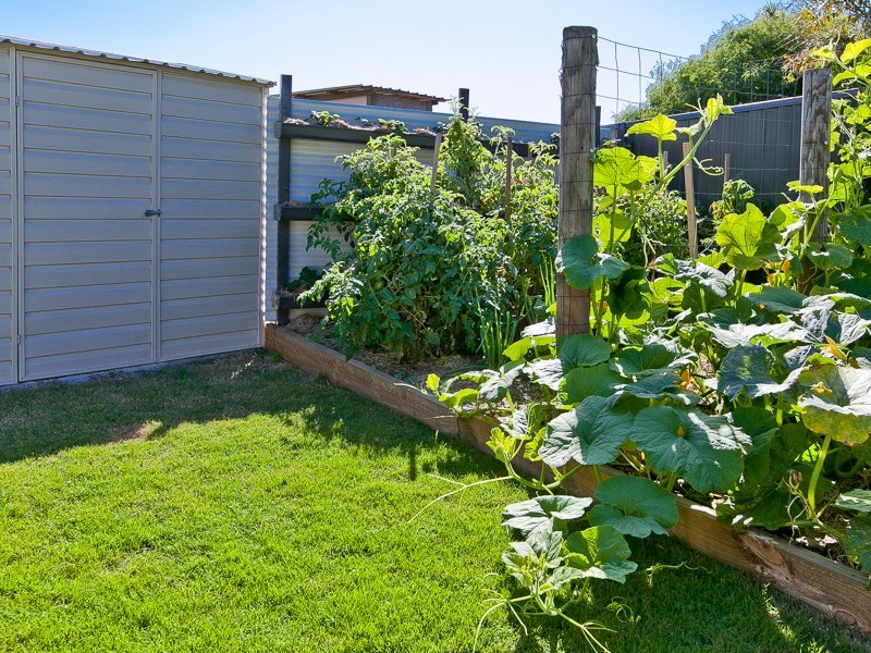 1 Lyrebird Lane, Bongaree QLD 4507