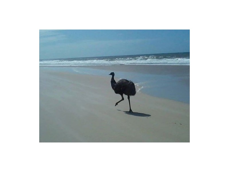 3/6 Ottiwell Street, Woorim QLD 4507