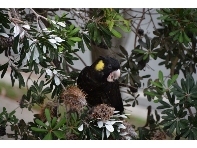 9/74 North Street, Woorim QLD 4507