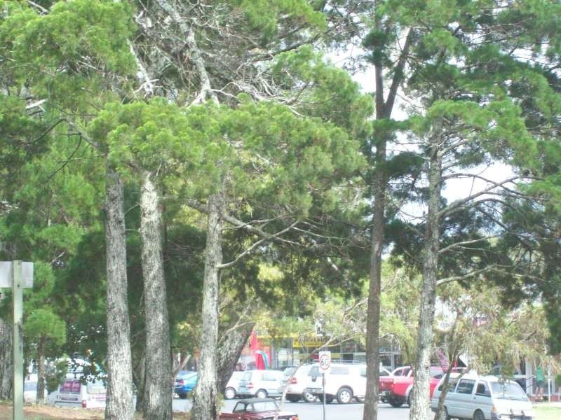 1-26 First Avenue, Bongaree QLD 4507