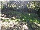 Wahroonga NSW 2076