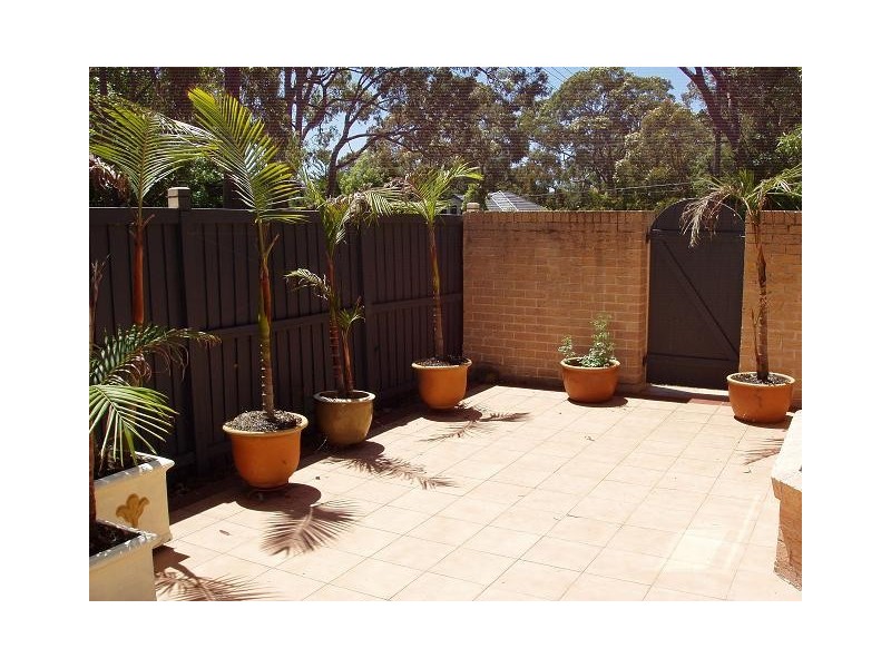 77 Maxwell Street, Turramurra NSW 2074