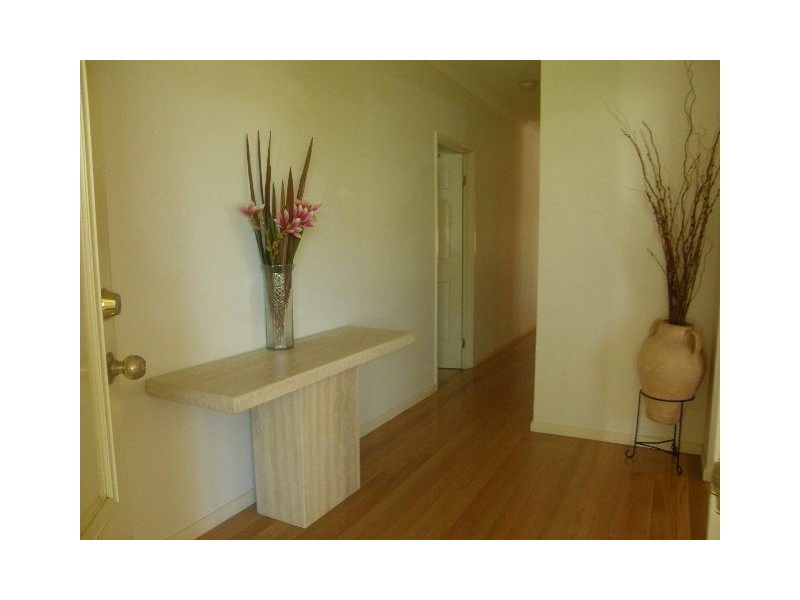 77 Maxwell Street, Turramurra NSW 2074