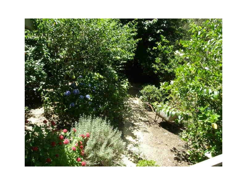 17  Nimbrin Street, Turramurra NSW 2074