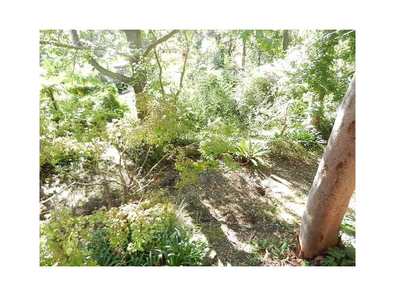 10 Leeds Place, Turramurra NSW 2074