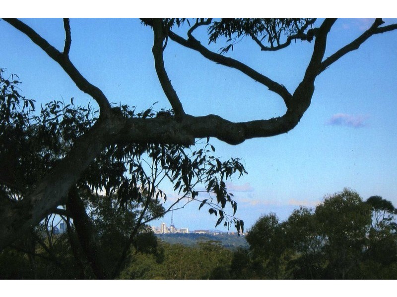 25 / 10 KISSING POINT ROAD, Turramurra NSW 2074