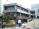 17 Hollywood Avenue, Bondi Junction NSW 2022