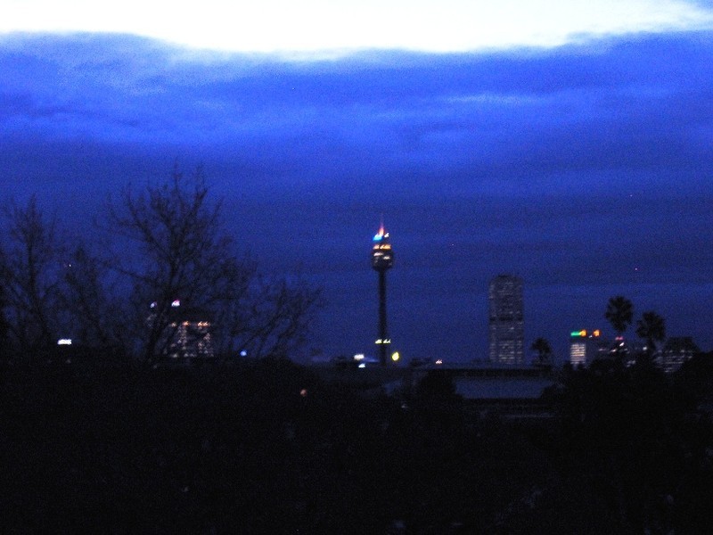 10/57 Regent Street, Paddington NSW 2021