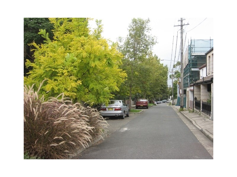 10 Blenheim Street, Queens Park NSW 2022