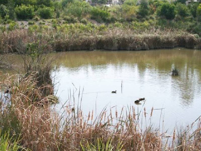 5  Station Street, Tempe NSW 2044