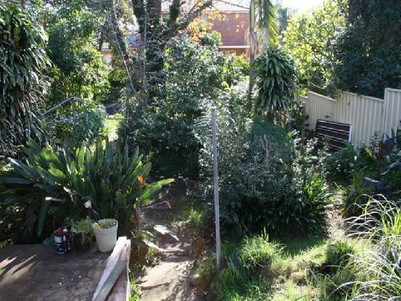 16 Banksia Avenue, Banksia NSW 2216